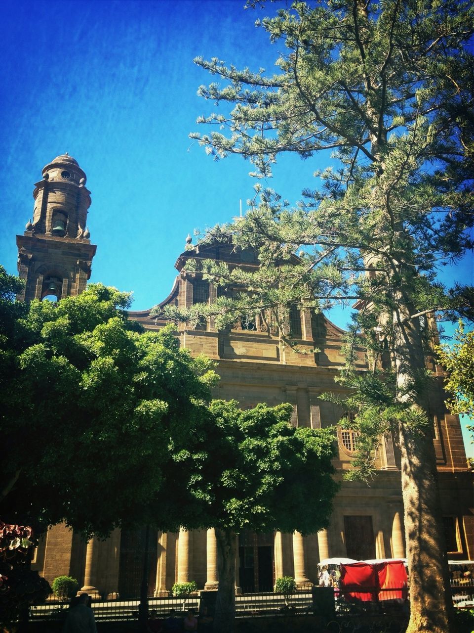 building exterior, architecture, built structure, tree, low angle view, blue, clear sky, city, residential building, residential structure, sky, building, sunlight, house, day, outdoors, tower, branch, no people, growth