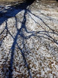 High angle view of shadow on ground