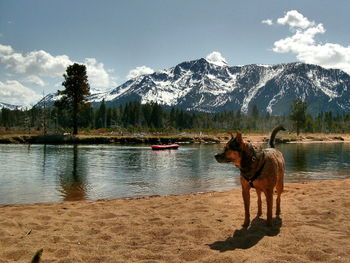 Scenic view of lake and mountains against sky