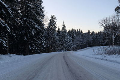 Road amidst trees against sky during winter