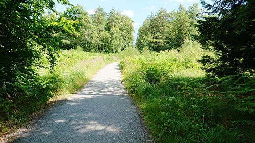 Road amidst trees on field against sky