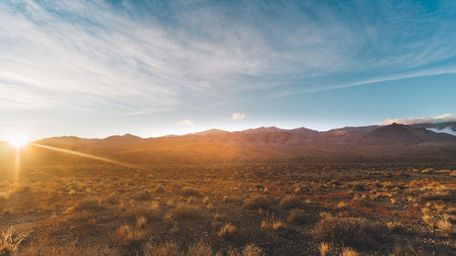 Scenic view of field against bright sun