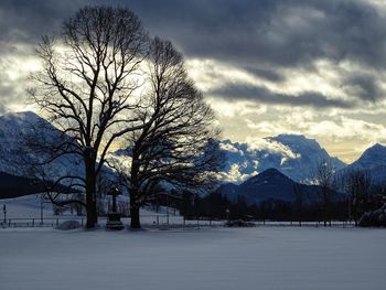 Bare trees on snow covered landscape against sky