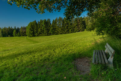 Trees on field against sky