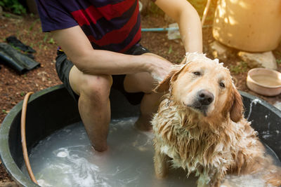 Man bathing dog sitting in tub