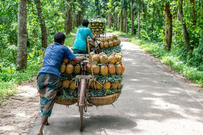 Rear view of men carrying pineapples on bicycle amidst forest