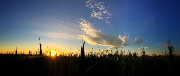 Scenic view of field against sky at sunset