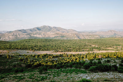 Scenic view of landscape against sky