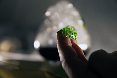 Close-up of hand holding leaf