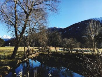 Reflection of trees in lake