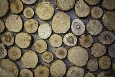 Wooden texture built from logs cuts. rows of sawn tree bitches. simple background. abstract image.