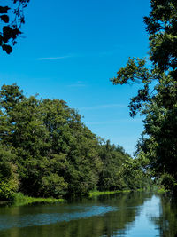 Trees by lake in forest against blue sky
