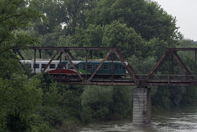 Bridge over river in forest