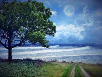 tranquil scene