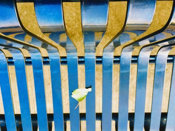 Close-up of bird perching on blue roof