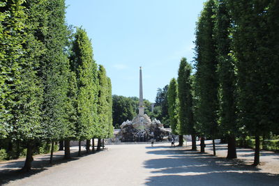 Trees in garden against clear sky