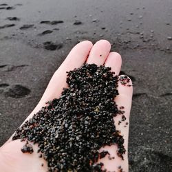 Close-up of woman hand holding sand