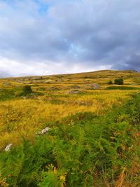 Scenic view of field against sky