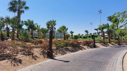 View of palm trees against clear blue sky