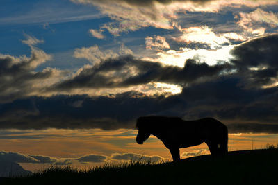 Silhouette of a horse on field against sky during sunset