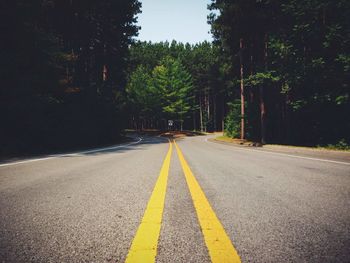 Road amidst trees at forest