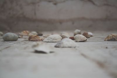 Close-up of pebbles