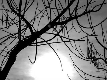 Low angle view of bare trees against sky