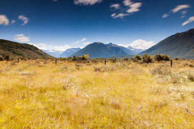 Scenic view of field against sky