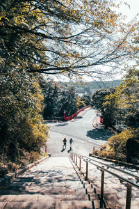 Road amidst trees during autumn