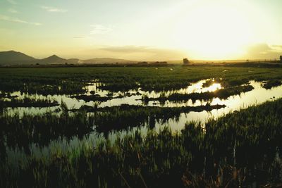 Scenic view of lake at sunset