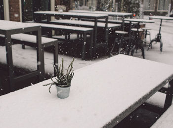 Snow on table during winter