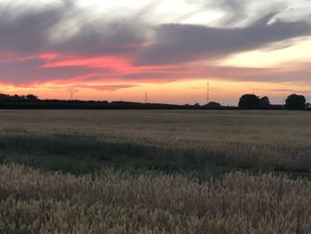 Scenic view of field against sky during sunset