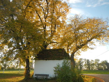 Trees against sky during autumn