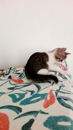 Cat relaxing on bed