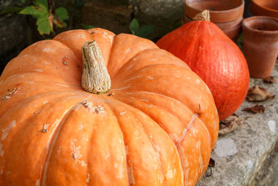 High angle view of pumpkins in market