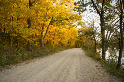 Road amidst trees in forest during autumn