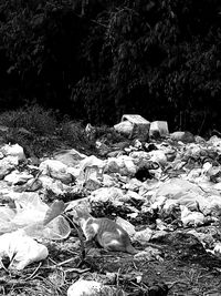 Close-up of garbage against trees