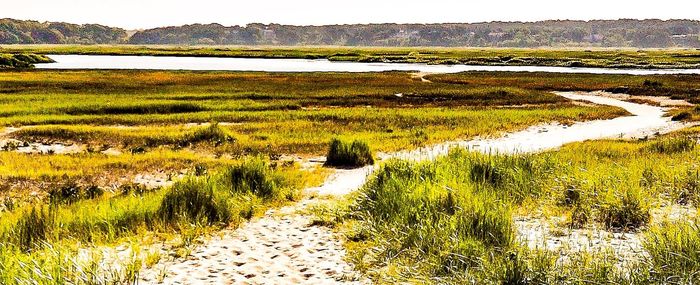 River flowing through landscape