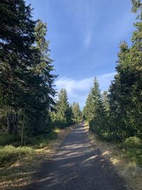 Road amidst trees against sky