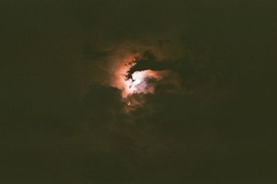 Low angle view of silhouette leaf against sky at night