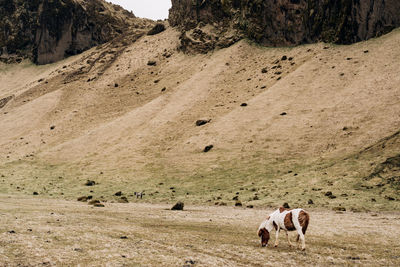 Group of people on landscape