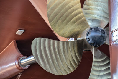 High angle view portrait of man in museum