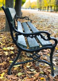 Close-up of bench in park
