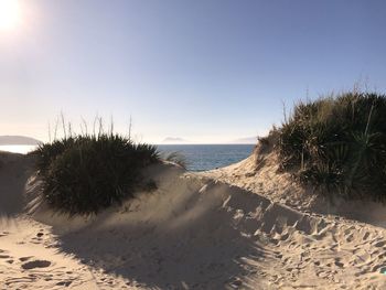 Scenic view of sea against clear sky