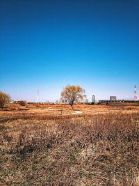 Scenic view of field against blue sky