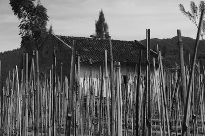 Wooden fence on field against sky