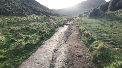 Narrow road along landscape