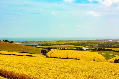 Scenic view of agricultural field against sky