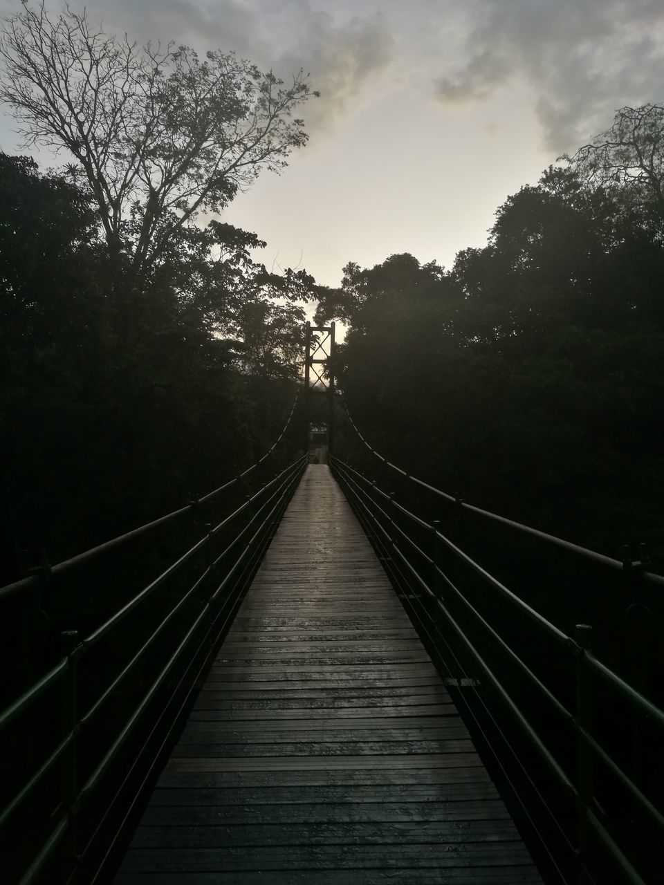 VIEW OF FOOTBRIDGE AGAINST TREES