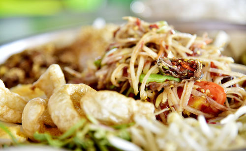 Close-up of meal served in plate